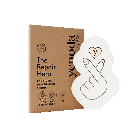 The Repair Hero
